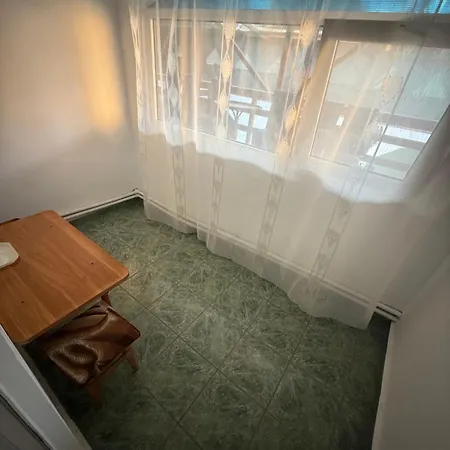 Casa Matei Costinești