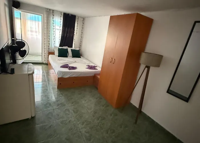 Pensionat Casa Matei *