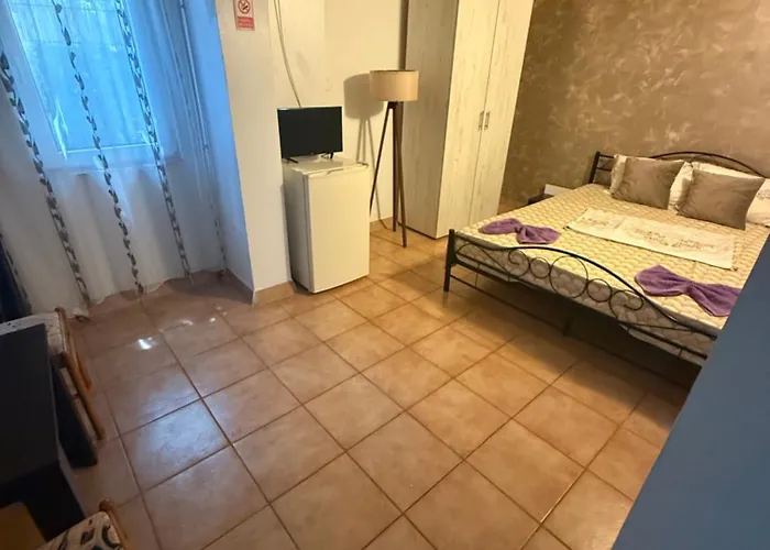 Pensionat Casa Matei Costinesti