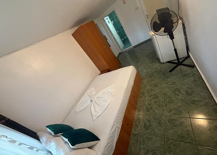 Pensionat Casa Matei